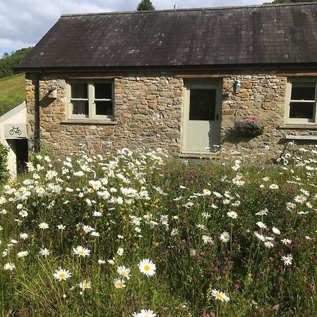 Danygraig Cottage Carmarthen Zewnętrze zdjęcie