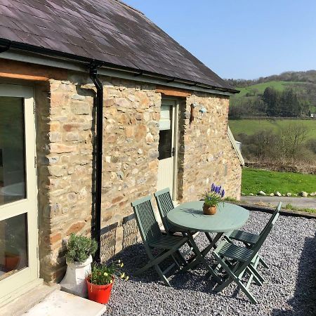 Danygraig Cottage Carmarthen Zewnętrze zdjęcie