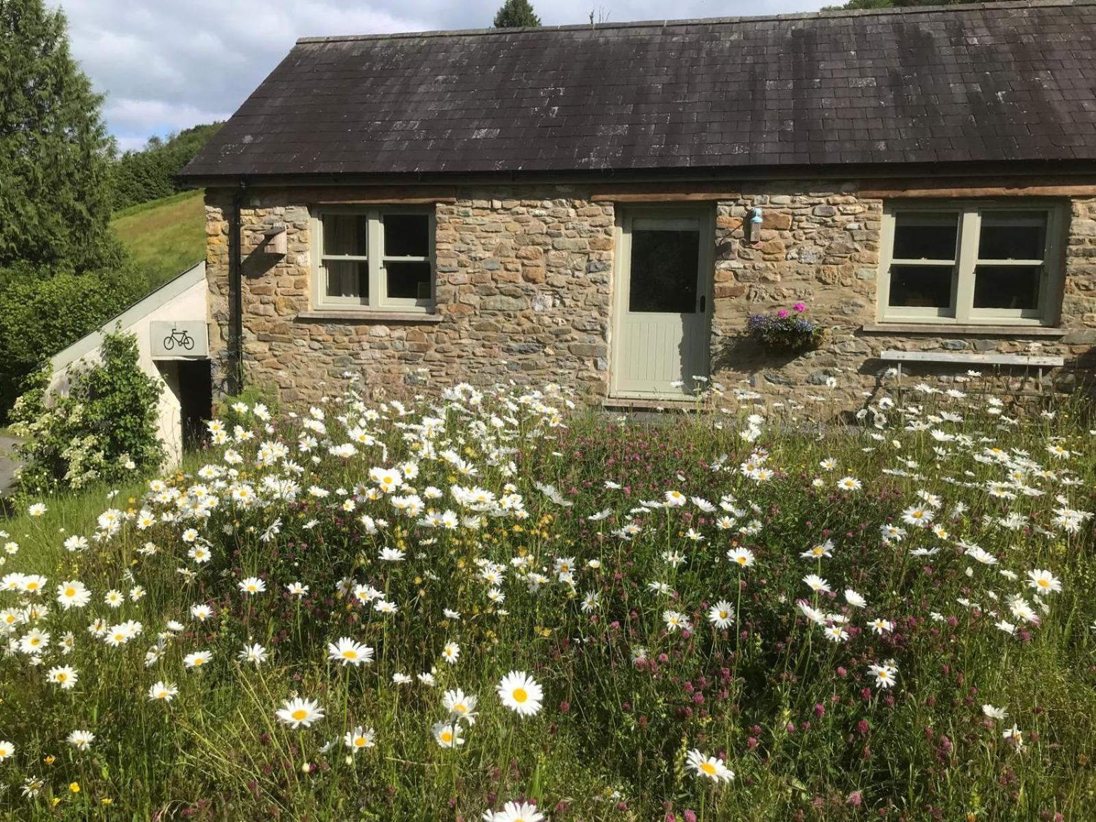 Danygraig Cottage Carmarthen Zewnętrze zdjęcie