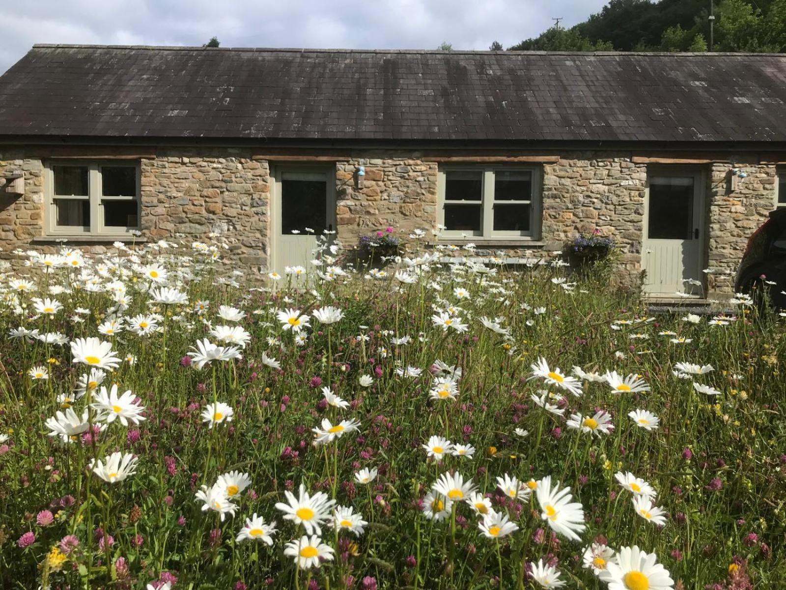 Danygraig Cottage Carmarthen Zewnętrze zdjęcie