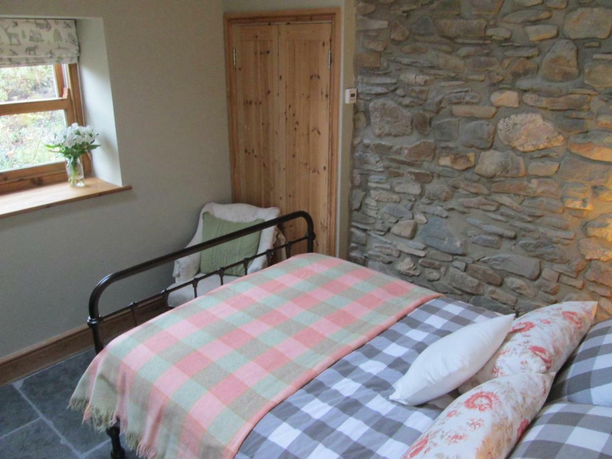 Danygraig Cottage Carmarthen Zewnętrze zdjęcie