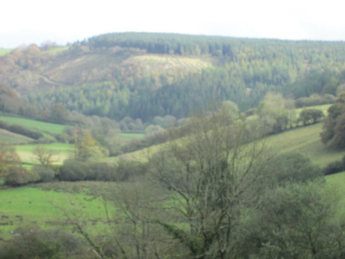 Danygraig Cottage Carmarthen Zewnętrze zdjęcie