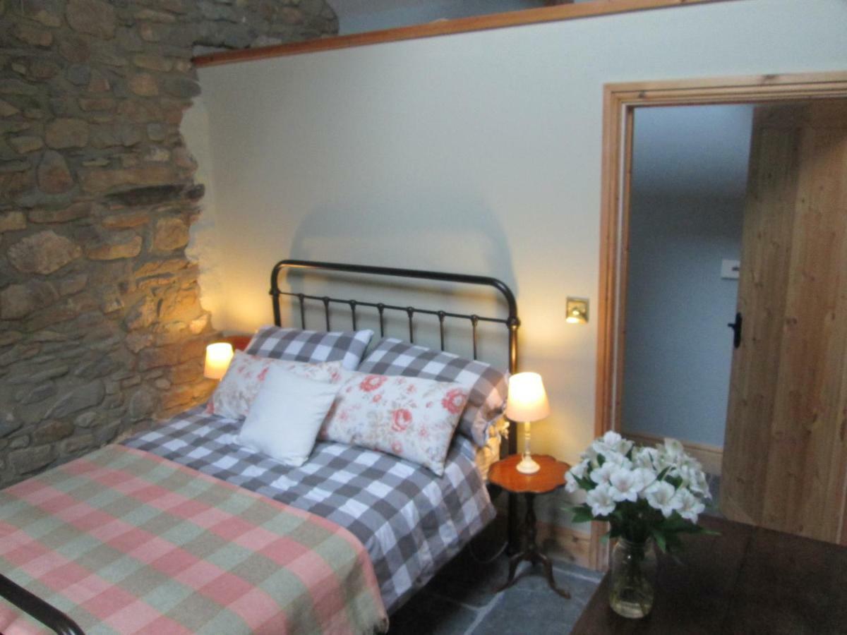 Danygraig Cottage Carmarthen Zewnętrze zdjęcie