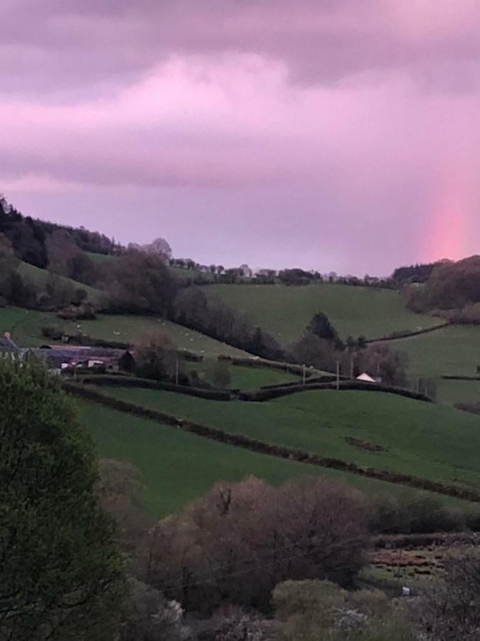 Danygraig Cottage Carmarthen Zewnętrze zdjęcie